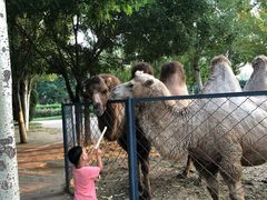 -长白岛森林公园