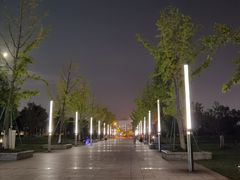 -九里河湿地公园