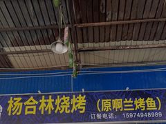 -杨合林啊兰烤鱼