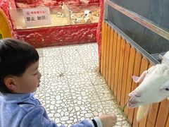 -上海大自然野生昆虫馆(东方明珠·爬宠昆虫探索中心)