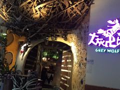 -大灰狼(中心书城店)