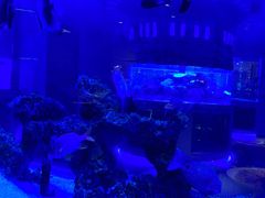 -上和臻品中国菜(花园街店)