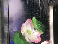 -大榕树下顺德菜(融创茂店)