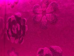 -真爱范特西KTV(交大店)