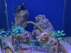-上海海昌海洋公园