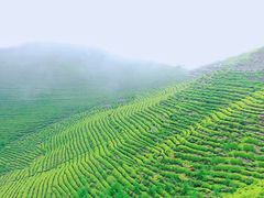 景点-东钱湖旅游度假区
