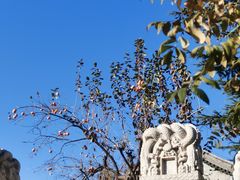 -北京石刻艺术博物馆(五塔寺)
