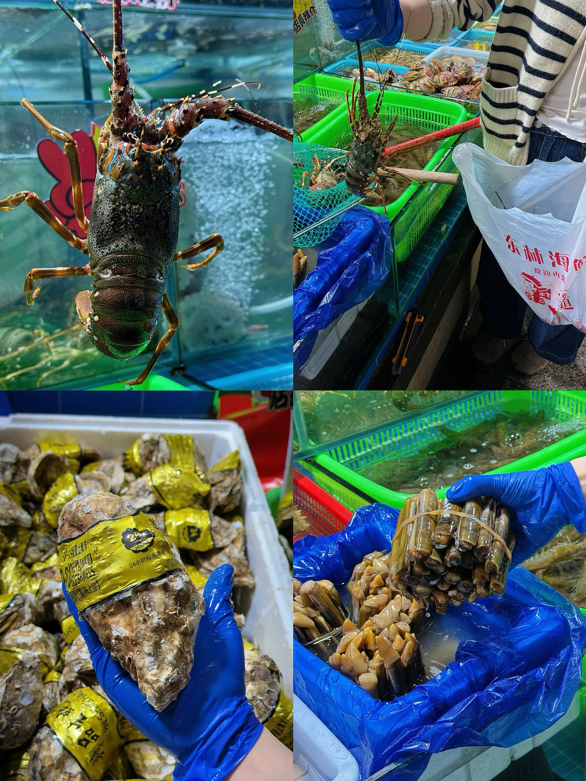 来连云港海鲜加工新奇体验get!get!