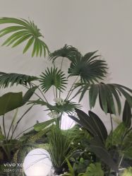 -HEYAN荷妍专业脱毛连锁机构
