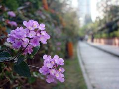 景点-铁路文化公园