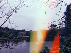 -丹樱生态园
