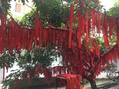 -小洲村