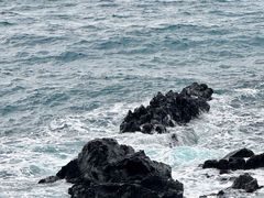 -龙头岩(Dragon Head Rock)