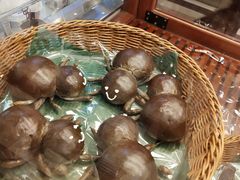 -都恩客(高岛屋百货店)