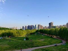 -长白岛森林公园