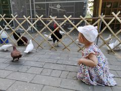 -1982农场