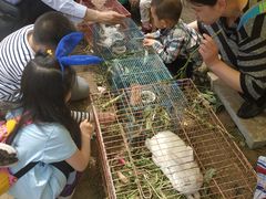 -大自然农场蔬菜草莓采摘园