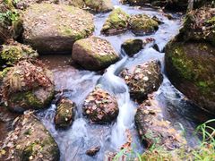 -五营红松林海景区