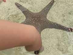 -上海海洋水族馆