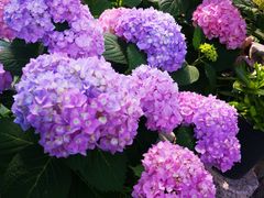 -山水人家(九堡店)