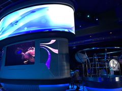 -海底巡游艇:尼莫和好友的海洋世界