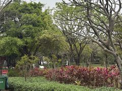 -王借岗森林公园