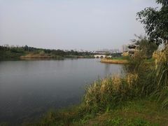 -眉山湿地公园(东坡区)