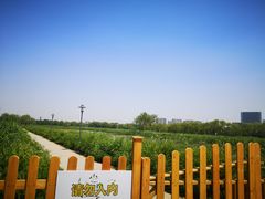 -大兴滨河森林公园