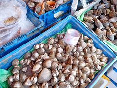 -芦潮港集贸市场