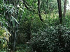 -成都杜甫草堂博物馆