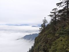 -瓦屋山景区