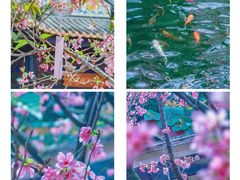 -宝墨园景区