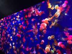 -成都浩海立方海洋公园