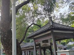 -荔湾湖公园