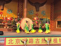 -呀路古热带植物园