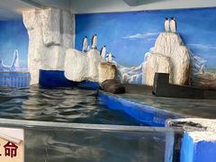 -泉州海丝野生动物世界