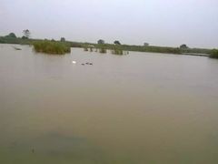 -盐城丹顶鹤湿地生态旅游区