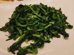清炒豆苗-镛记酒家