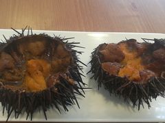 -海胆小馆(东北水饺·春柳店)