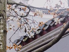 -南岳衡山风景名胜区-南岳大庙