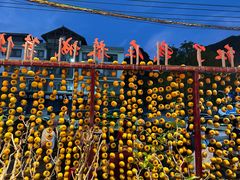 -凤凰山斑鱼馆(恭城店)