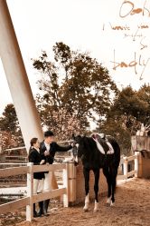 -帆拉斐婚纱摄影(春熙店)