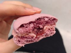 -麦雪尔甜品·生日蛋糕(新街口旗舰店)