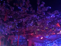 -周庄红庭演艺酒吧