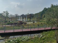 -东莞植物园