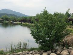-石塘人家
