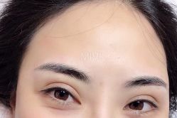 -MIVI半永久纹眉机器野生眉纹唇