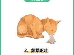 -泰洋动物医院·神经专科·磁共振·CT(天河公园总院)