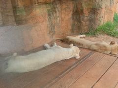 -杭州野生动物世界