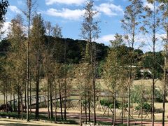 -牛岗山公园